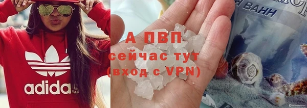 эйфоретик Новозыбков