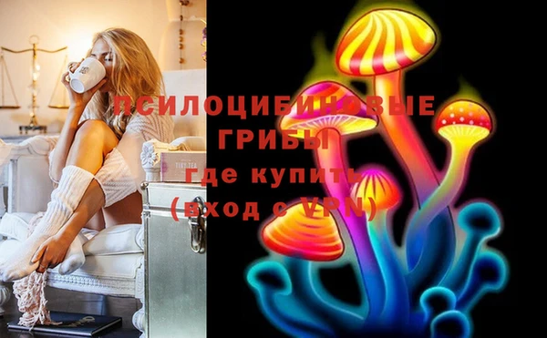 эйфоретик Новозыбков
