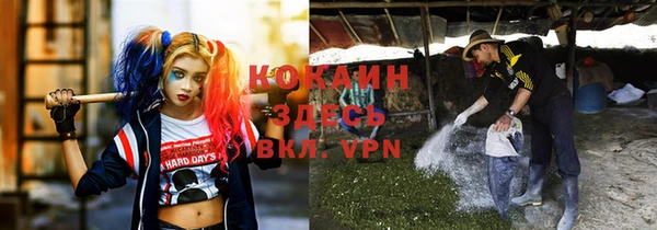 альфа пвп Новокубанск